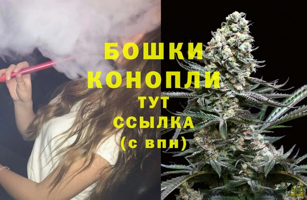 mdpv Волоколамск