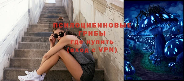 mdpv Волоколамск