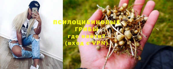 mdpv Волоколамск