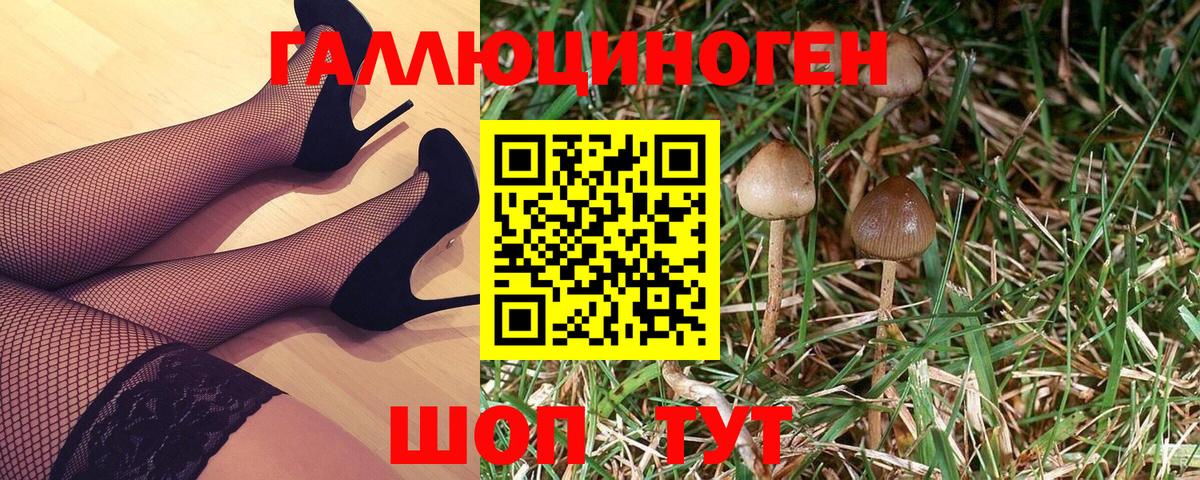 Галлюциногенные грибы прущие грибы  Вход с VPN  Галлюциногенные грибы Psilocybine cubensis  Ноябрьск 