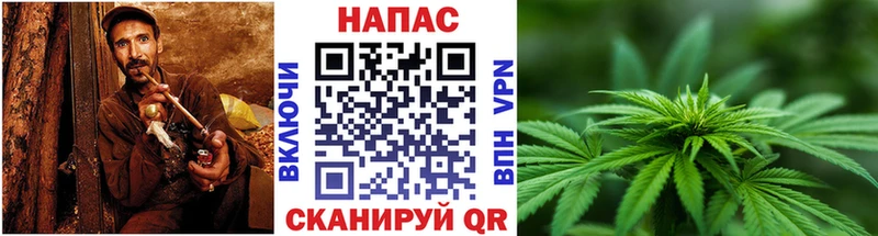 Марихуана Bruce Banner  Ноябрьск 